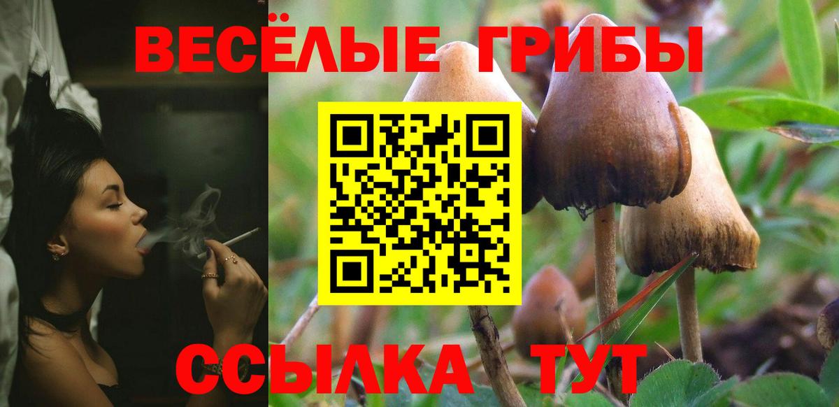 купить наркотики сайты  Псилоцибиновые грибы Magic Shrooms  Кашира  Вход с VPN  Псилоцибиновые грибы GOLDEN TEACHER 